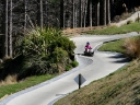 queenstown (28)